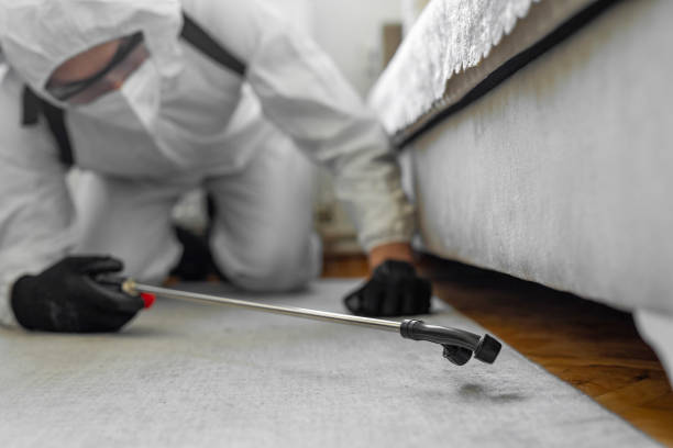 Professional Bed Bug Control technician working in Parkville, MO