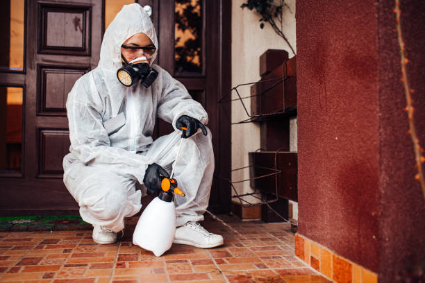 Reliable Bed Bug Control contractor in Parkville, MO by Nex Pest Control
