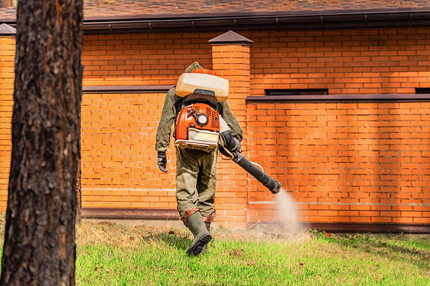 Trusted Cockroach Control service in Parkville, MO - Nex Pest Control